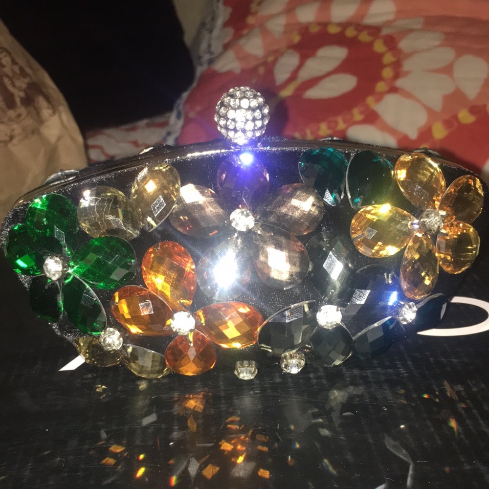 Zara Handbag/Clutch